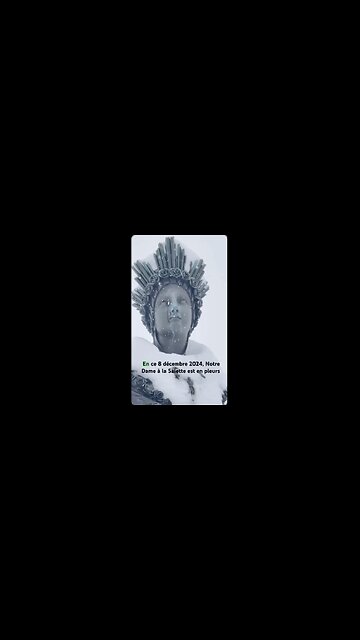 La Statue De LA SALETTE En Pleurs. Filmé le 8 Décembre 2024