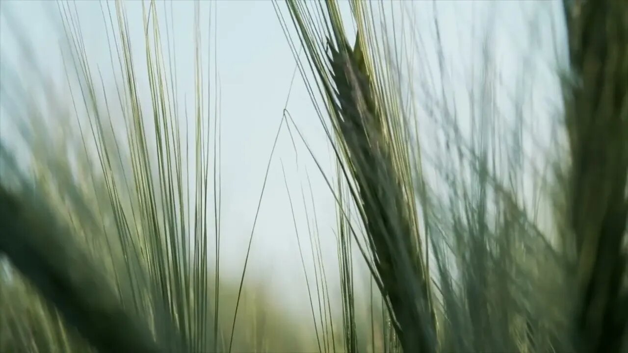 Oh My Pretty Coffee Break