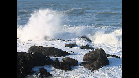 Cambria Sea Fields 2007