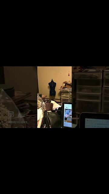 Cat Stalker: literal peeping Tom cat