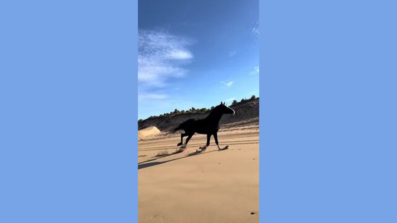 Gallop of Serenity: Majestic Horse 🐎 Across Sandscapes