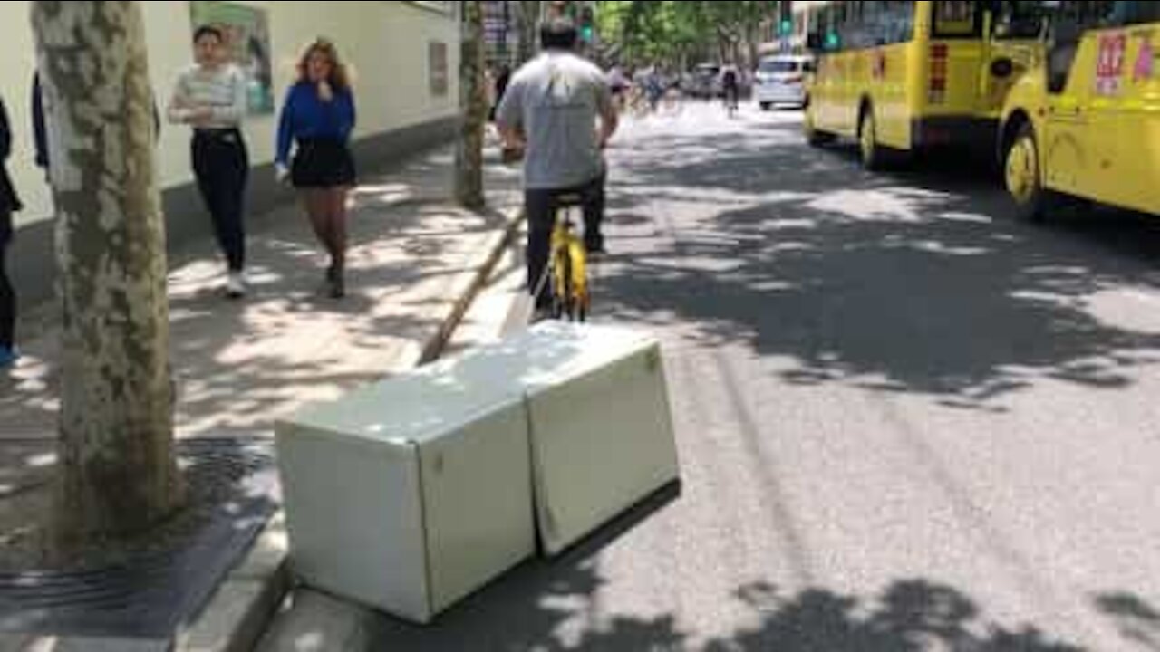 Uomo trasporta frigorifero con un bicicletta