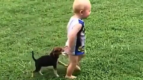 Kids and animals 😍 funny videos