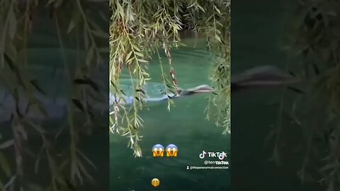 La Sirena