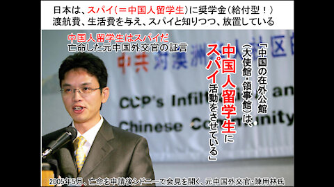 給付型奨学金 留学生風の侵略者を血税で優遇