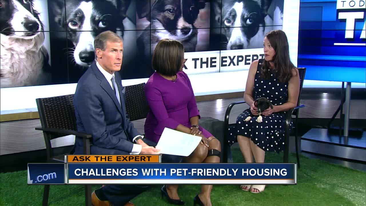 Ask the Expert: Challenges with pet-friendly housing