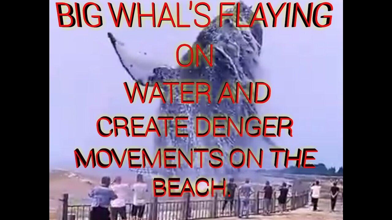 BIG WHALE FLAYING DANGER MOVEMENTS.