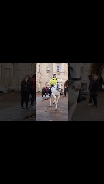 police horse spooked over helicopter 🚁 #horseguardsparade