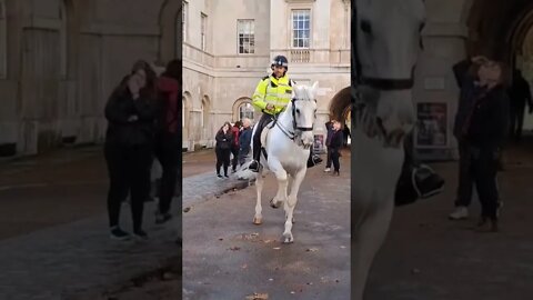 police horse spooked over helicopter 🚁 #horseguardsparade