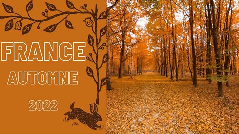 #FRANCE - AUTOMNE 2022 - ** QUE VA T-IL SE PASSER A LA RENTREE ?