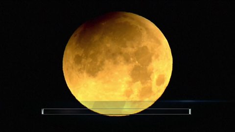 Man's journey to see the super blue blood moon