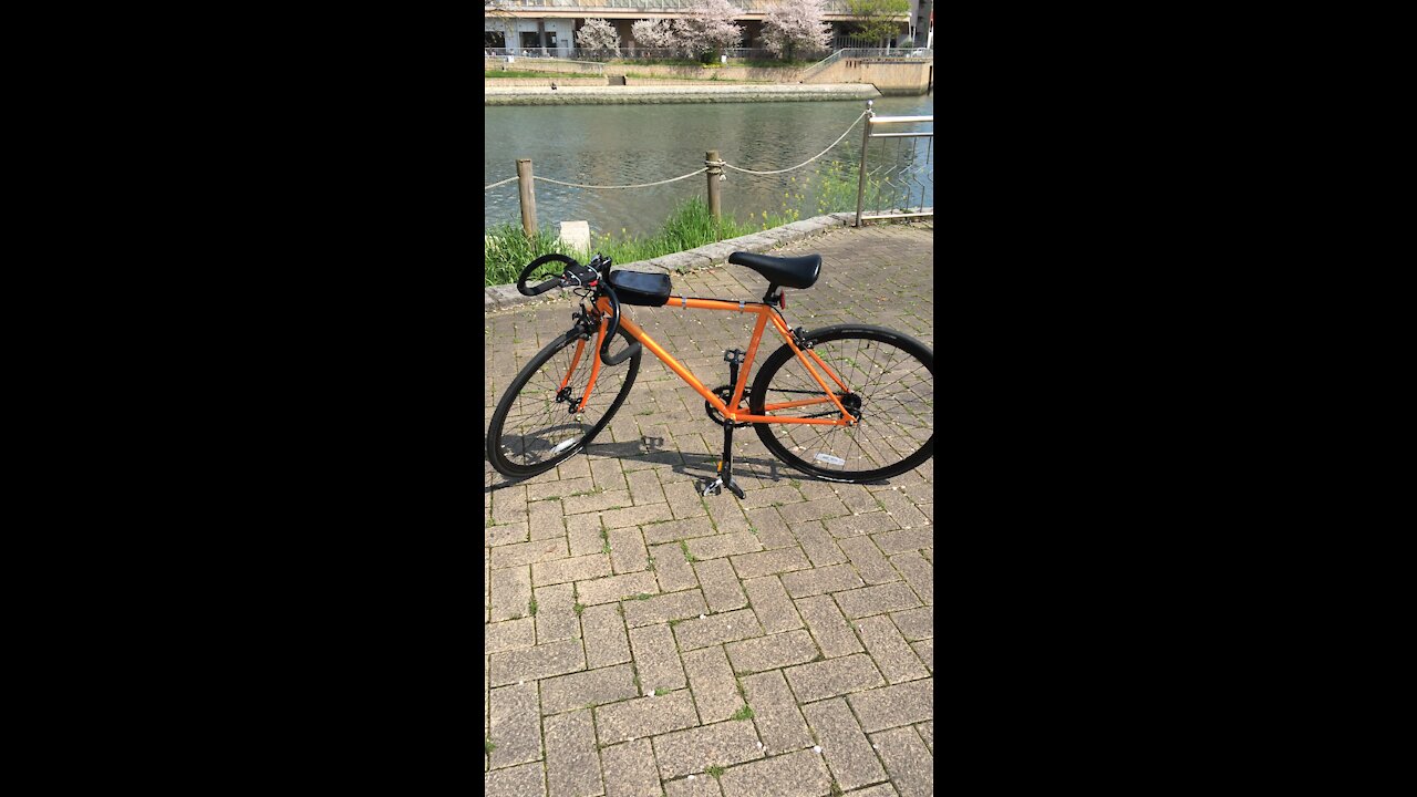 Fuji Feather Orangegold