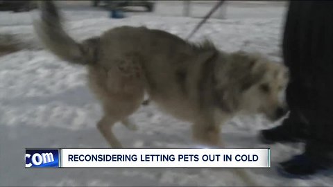 Too cold to let pets out this weekend