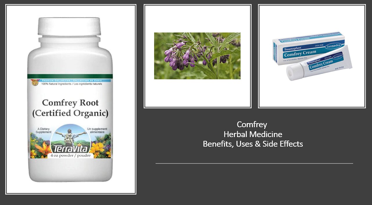 Comfrey Herbal Medicine Benefits, Uses & Side Effects