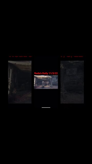 Reda’s Daily 11/3/22