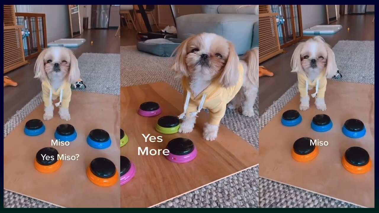 She did not finish her lunch earlier. Gave her the rest of it and she cleaned plate