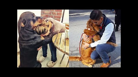 The Moments that prove DOG is CUTEST and CLOSEST friend of Human - You MUST HAVE!