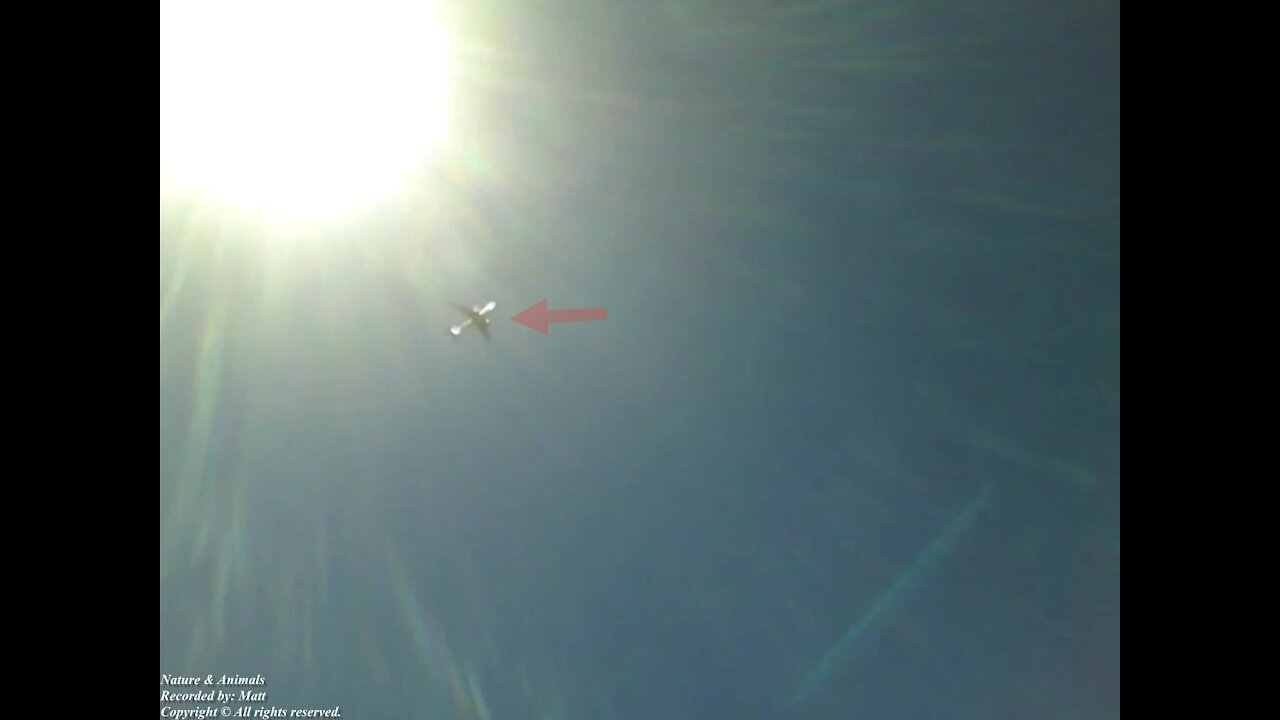 Avião flagrado na câmera junto com o Sol, cruzando os céus da praia! [Nature & Animals]