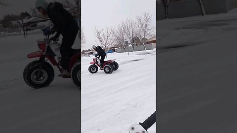 Didn't quite live to tell the tell😏