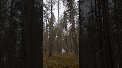 Nature will provide healing. #shorts #outdoors #nature