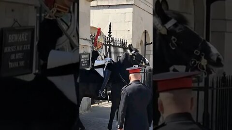 horse unsettled by protesters #horseguardsparade