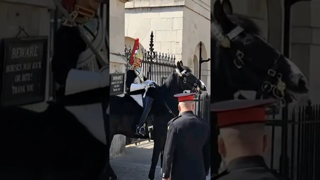 horse unsettled by protesters #horseguardsparade
