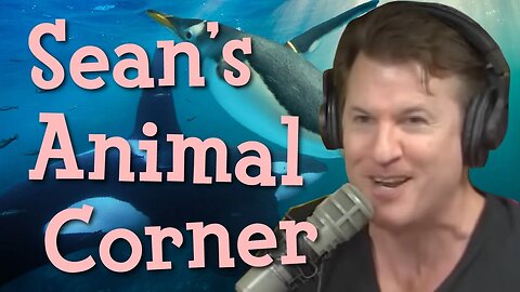 Sean's Animal Corner (Episode 232)