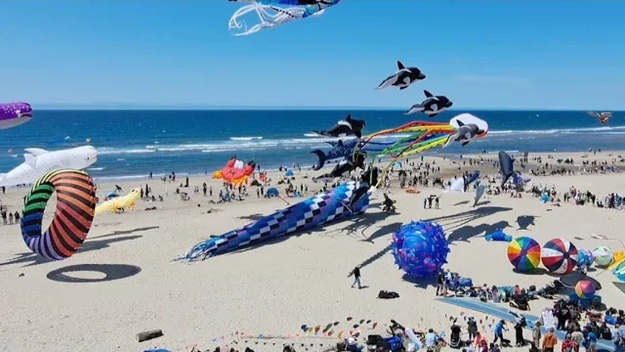 Lincoln City, Oregon Kite Festival - SchoolReports is going live!