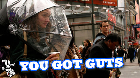 YOU GOT GUTS - the Whole Tip Daily