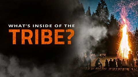 What is The Tribe?