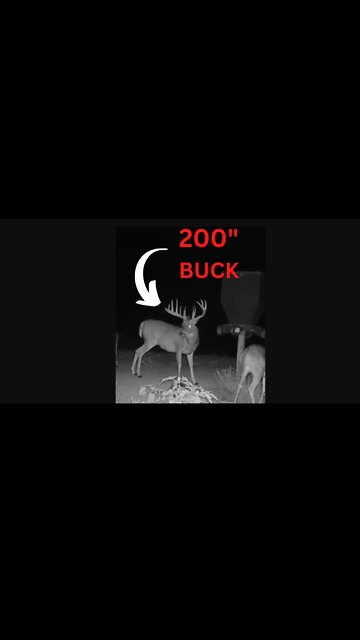 200” Buck Found With Drone