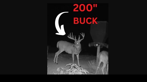 200” Buck Found With Drone