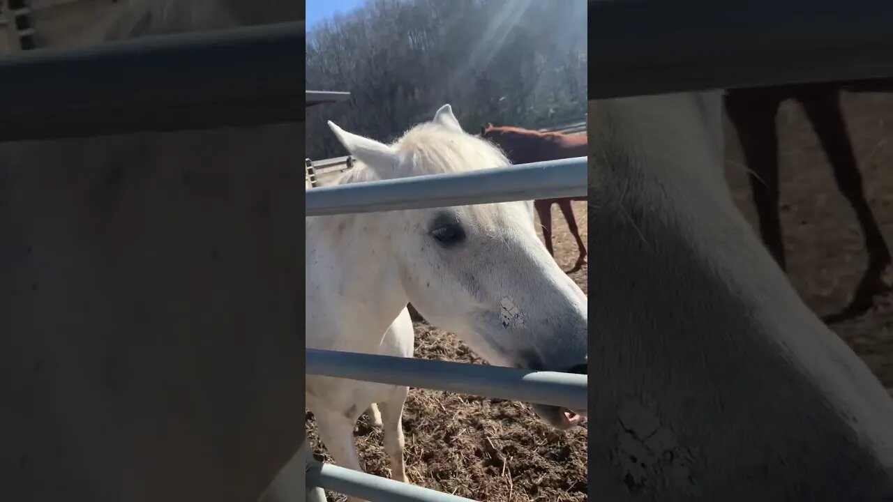 Checking on the little ones