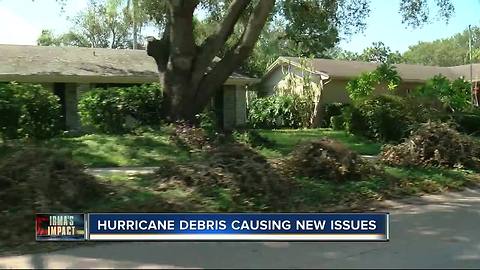 Irma debris causing allergies, eye injuries