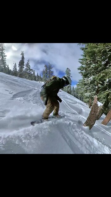 Pow Day Sierra at Tahoe February 20th 2021