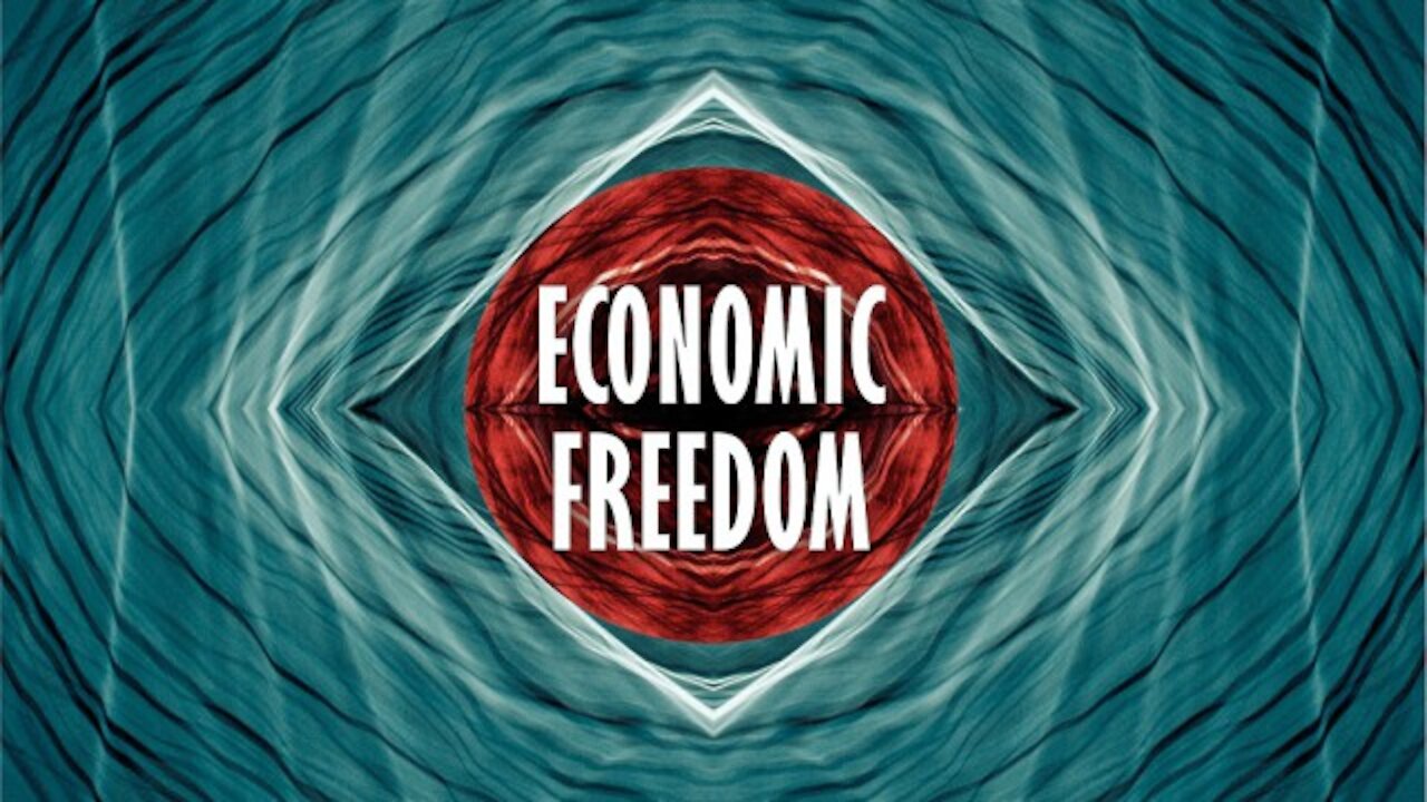 Economic Freedom Basics IV