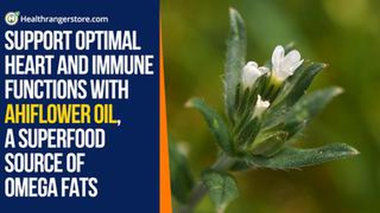 Support optimal heart and immune functions with Ahiflower Oil, a superfood source of omega fats