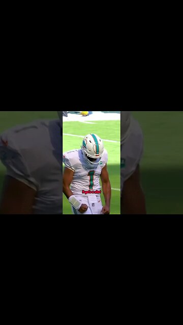 Don't bet on the Dolphins