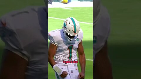 Don't bet on the Dolphins