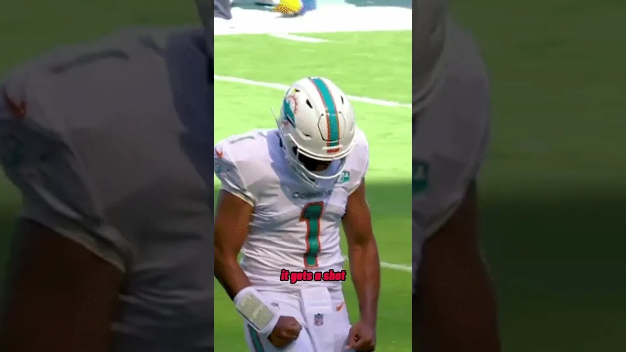 Don't bet on the Dolphins