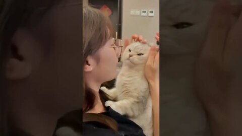 Cats, I absolutely love them❤️🐾🐈