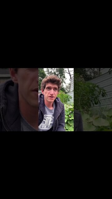 Sweet Potatoes do what!?😱 #shorts