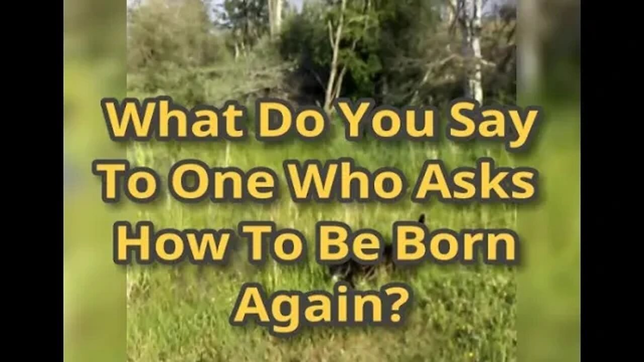 MM# 540 - What Do You Say To One Who Asks How To Be Born Again? It's All Within Yourself, It Is You!