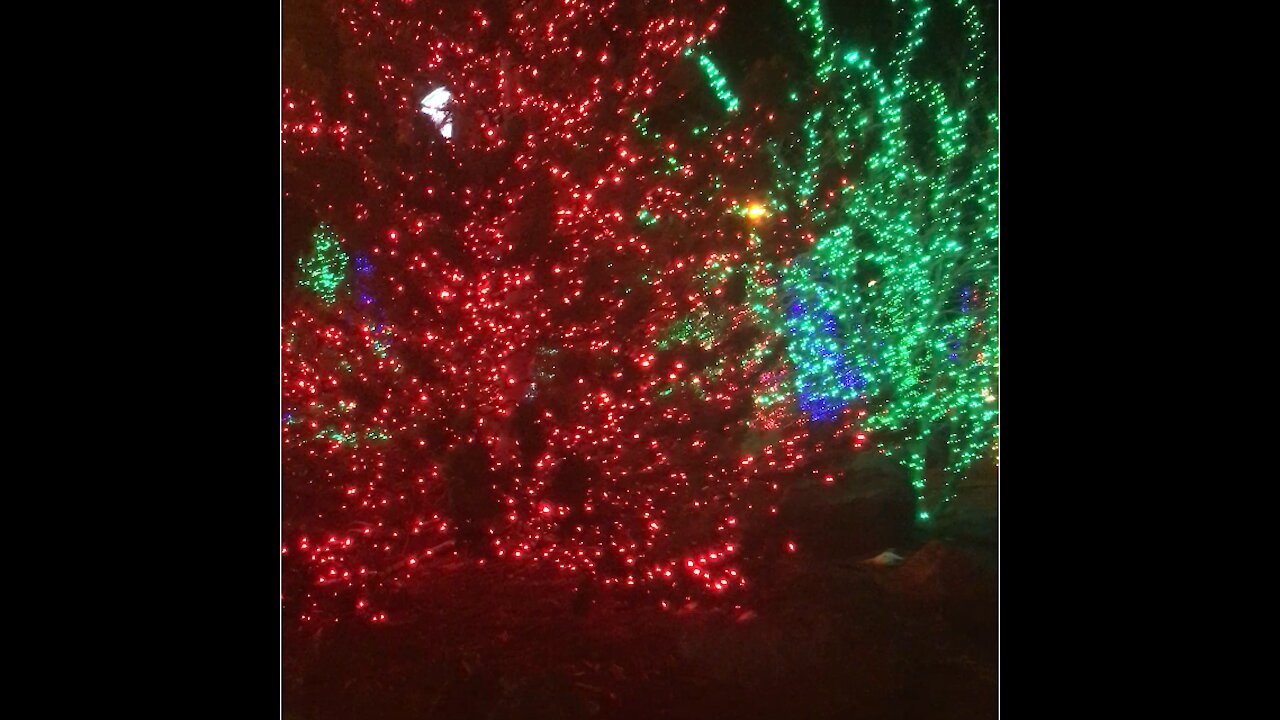 Merry Christmas Boondockers