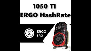 1050 TI ERGO Hashrate/Profits