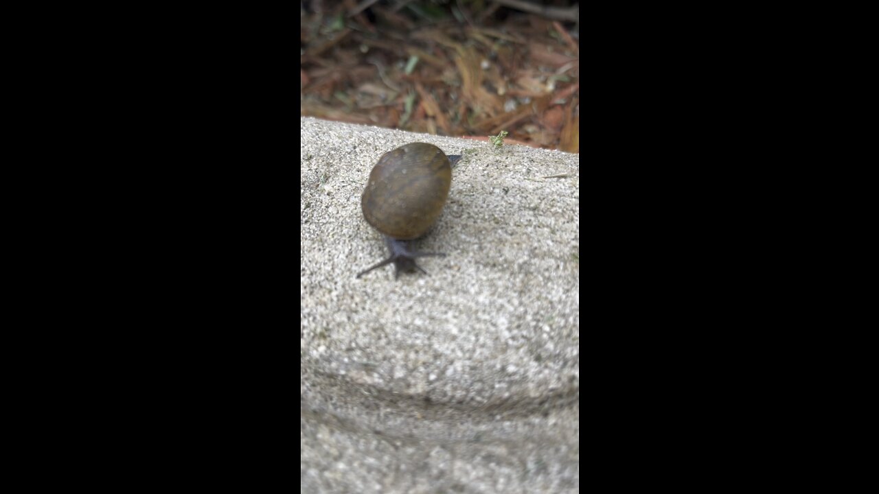 Hurry up for the love of god Sam.