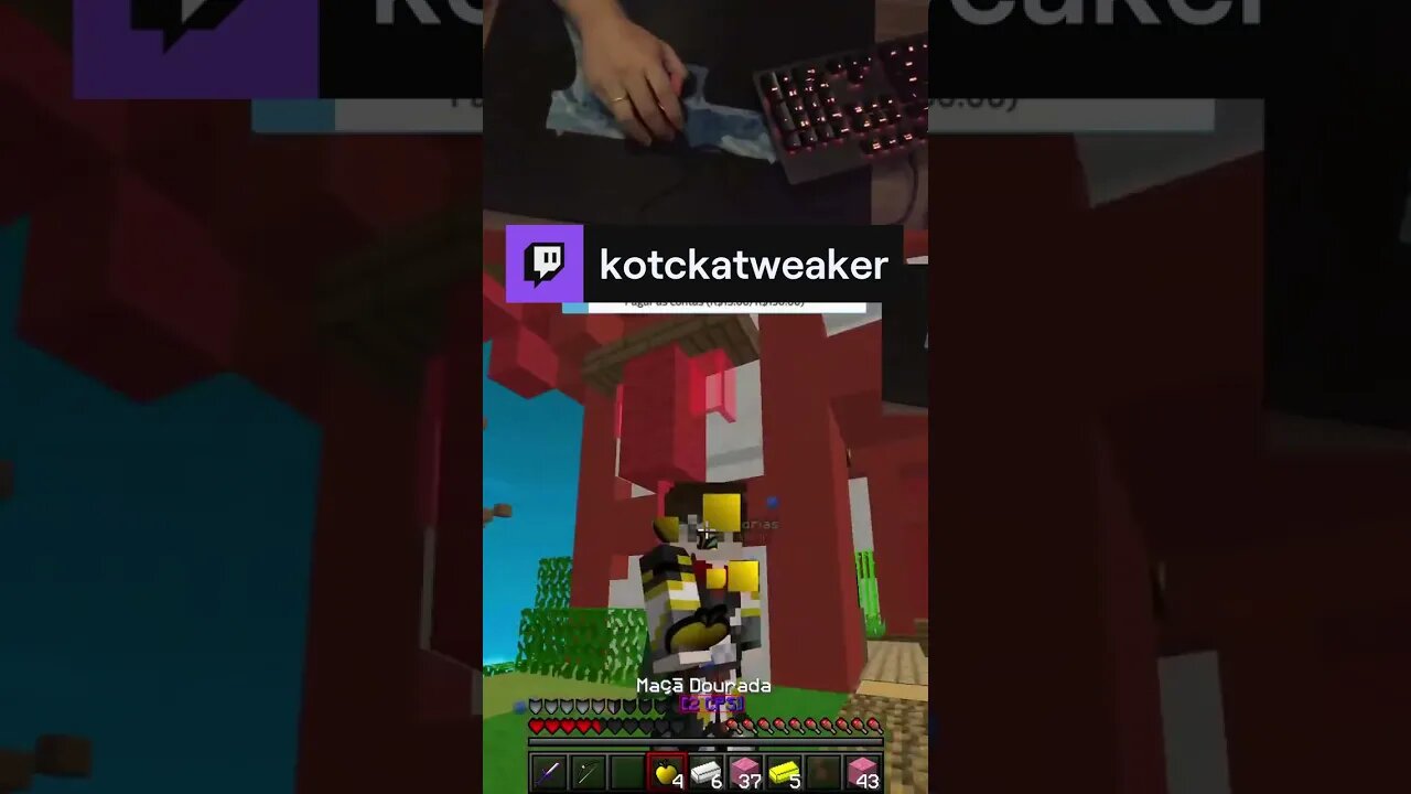 Ja me seguiu? eita como o kotcka tá de boaaa | kotckatweaker em #Twitch