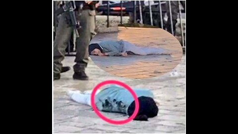 Israelis shoot a 16-year-old girl more than 20 times, they claim she had a knife.