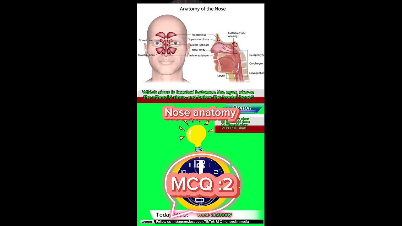 Nose mcqs #Qadisiyah #quiz #Arabic #MedicalQuiz #phramcology #nurses