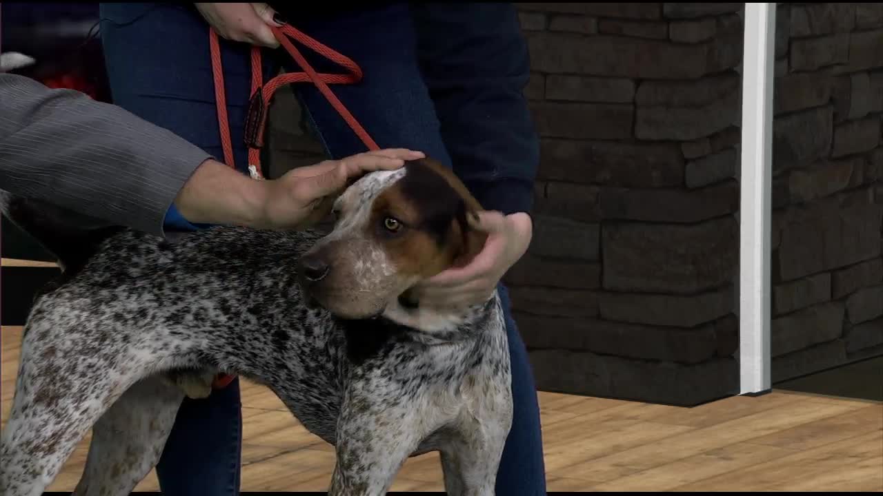 Idaho Humane Society stops by GMI